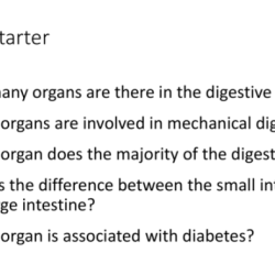 Tangstar science digestive system answers