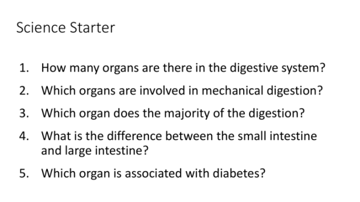 Tangstar science digestive system answers