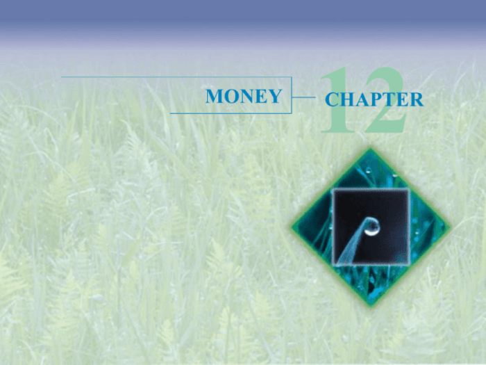 Money in review chapter 4