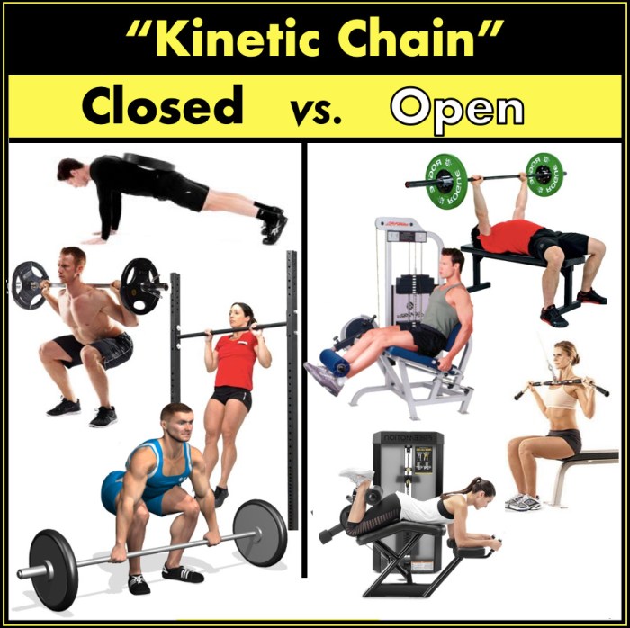 Open and closed chain exercises ppt