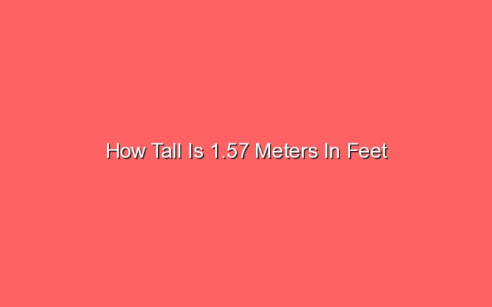 How tall is 1.91 m in feet