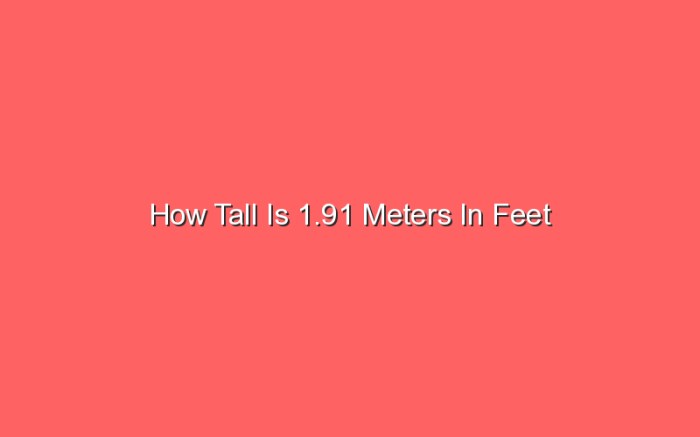 How tall is 1.91 m in feet