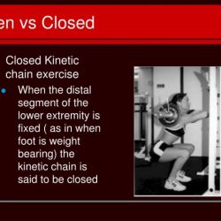 Open and closed chain exercises ppt