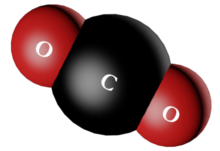 Which molecule listed below is a nonpolar molecule