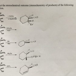 Predict stereochemical outcome solved reaction major e2 draw following transcribed problem text been show has