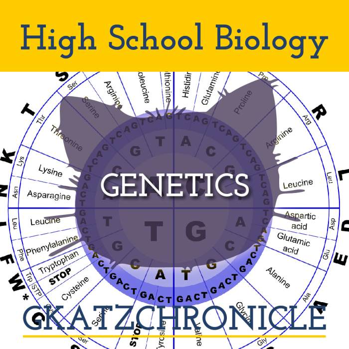 Greatest discoveries with bill nye genetics answer key